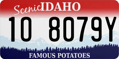 ID license plate 1O8079Y