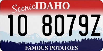 ID license plate 1O8079Z