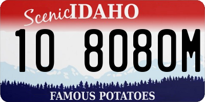 ID license plate 1O8080M