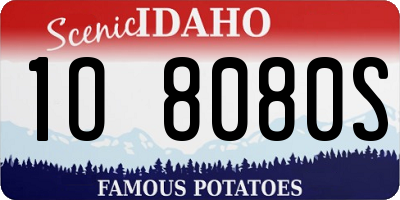 ID license plate 1O8080S