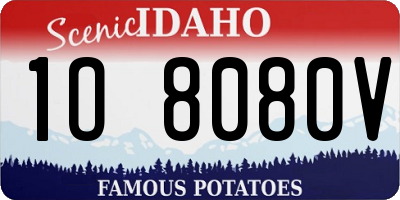 ID license plate 1O8080V