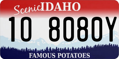 ID license plate 1O8080Y