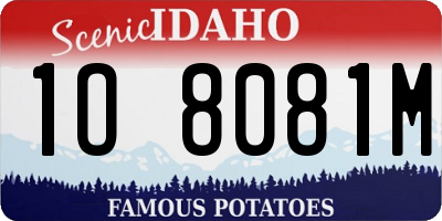 ID license plate 1O8081M