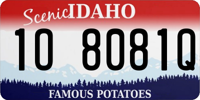 ID license plate 1O8081Q