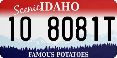ID license plate 1O8081T