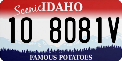 ID license plate 1O8081V