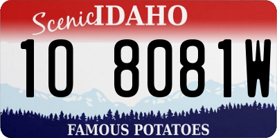 ID license plate 1O8081W
