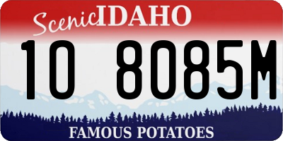 ID license plate 1O8085M