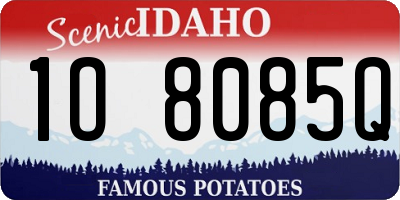 ID license plate 1O8085Q