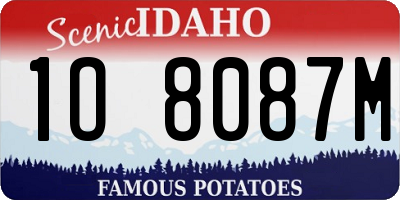 ID license plate 1O8087M