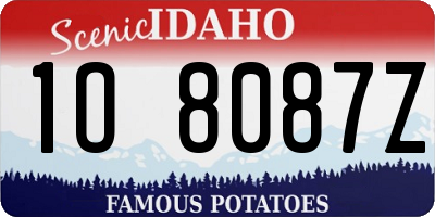 ID license plate 1O8087Z