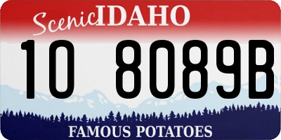 ID license plate 1O8089B