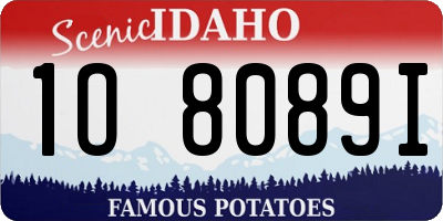 ID license plate 1O8089I