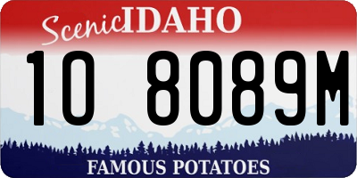 ID license plate 1O8089M