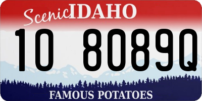 ID license plate 1O8089Q