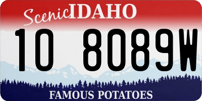 ID license plate 1O8089W