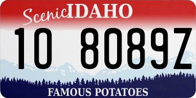 ID license plate 1O8089Z