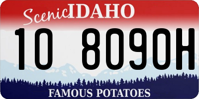 ID license plate 1O8090H