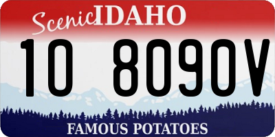 ID license plate 1O8090V