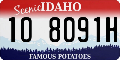 ID license plate 1O8091H