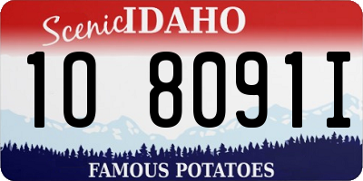 ID license plate 1O8091I