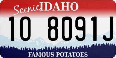 ID license plate 1O8091J