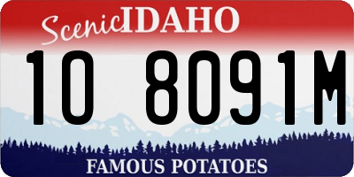 ID license plate 1O8091M