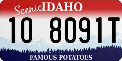 ID license plate 1O8091T