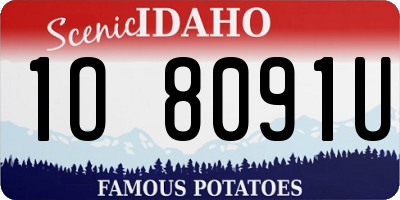 ID license plate 1O8091U