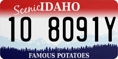 ID license plate 1O8091Y