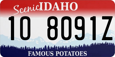 ID license plate 1O8091Z