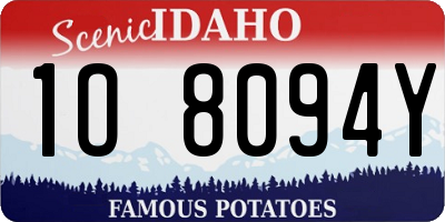 ID license plate 1O8094Y
