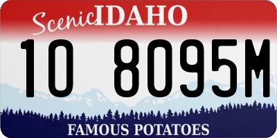 ID license plate 1O8095M