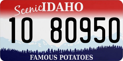 ID license plate 1O8095O