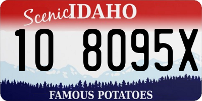 ID license plate 1O8095X