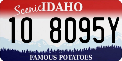 ID license plate 1O8095Y