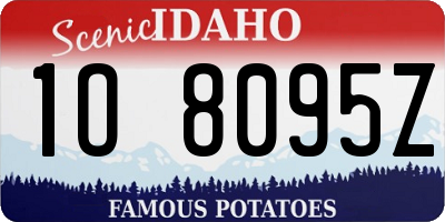 ID license plate 1O8095Z