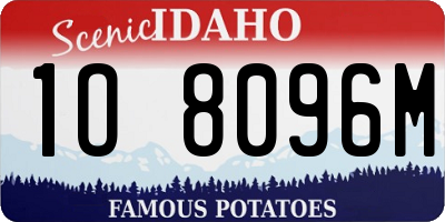 ID license plate 1O8096M