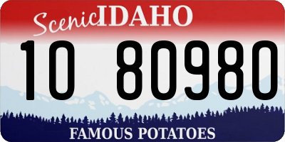 ID license plate 1O8098O