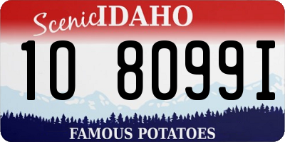ID license plate 1O8099I