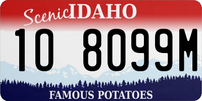 ID license plate 1O8099M