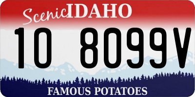 ID license plate 1O8099V