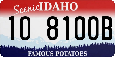 ID license plate 1O8100B