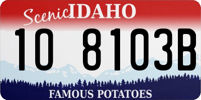 ID license plate 1O8103B