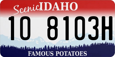 ID license plate 1O8103H