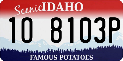 ID license plate 1O8103P