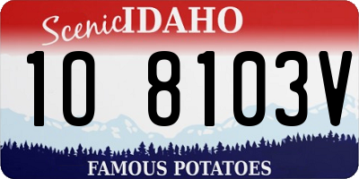 ID license plate 1O8103V