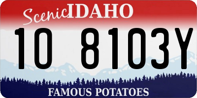 ID license plate 1O8103Y