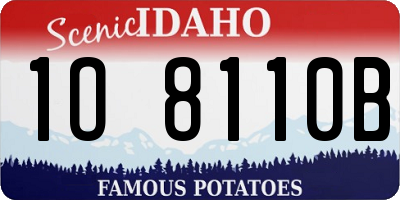 ID license plate 1O8110B