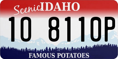 ID license plate 1O8110P